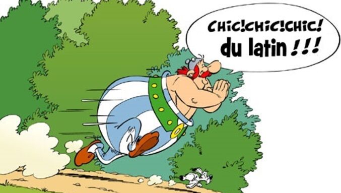 obelix.jpg